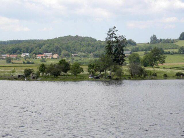 Étang de Poisson