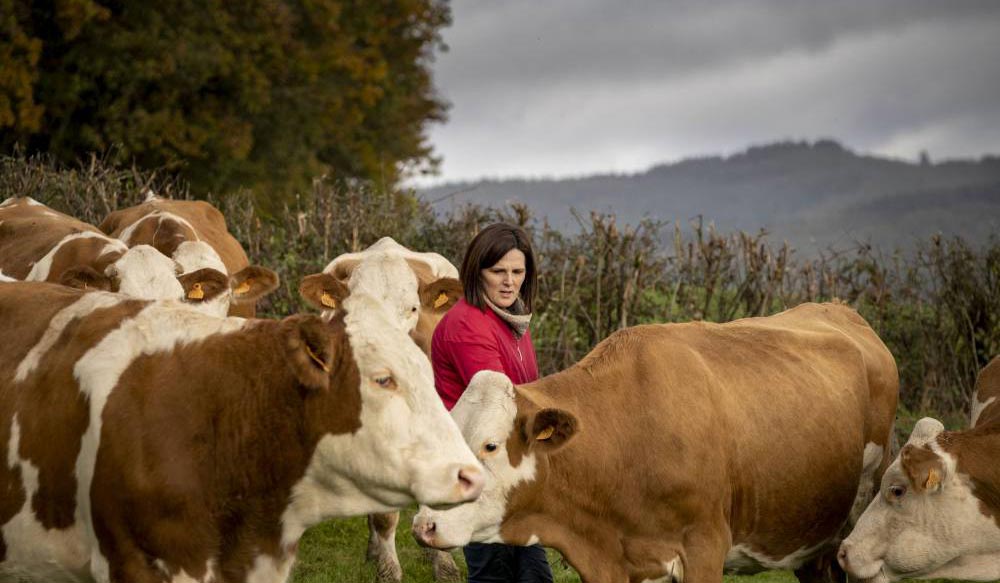 Anne, la passion des fromages affinés dans le Morvan