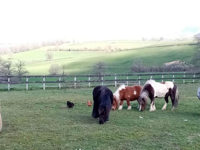 La petite ferme dans la montagne