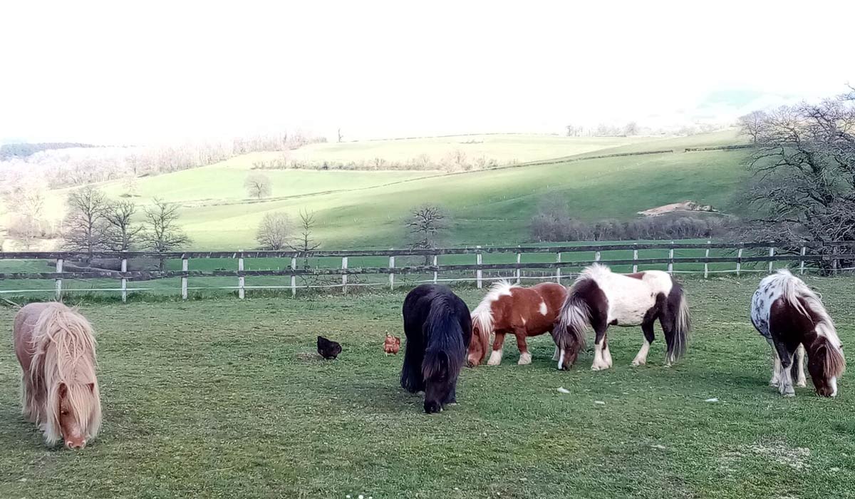 La petite ferme dans la montagne